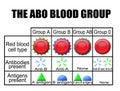 The ABO blood group diagram Royalty Free Stock Photo