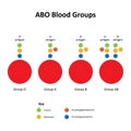 ABO Blood Groups Royalty Free Stock Photo