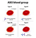 ABO Blood groups Royalty Free Stock Photo