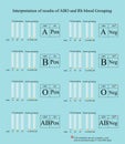 ABO and Rh Blood group tube test