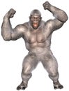 Abominable Snowman, Yeti, Gorilla Isolated Royalty Free Stock Photo