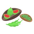 Aborigin fruit food icon isometric vector. Native tribe Royalty Free Stock Photo