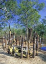 Aboriginal burial site