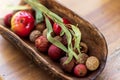 Aboriginal bush food closeup