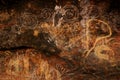 Aboriginal rock art, Australia