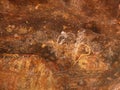 Aboriginal rock art at Kakadu National Park, Northern Territory, Australia Royalty Free Stock Photo