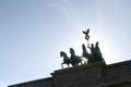 Above the Brandenburg Gate stands the Goddess of Victory in a chariot drawn by four horses heading towards the city. Royalty Free Stock Photo