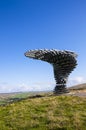 This is a public artwork taking the form of a wind blown tree which is made of steel pipes and it is situated high on the Moors