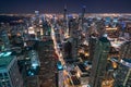 Above the Chicago Night Skyline Royalty Free Stock Photo