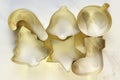 Bright gold Christmas cookie cutters Royalty Free Stock Photo