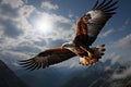 Above clouds, eagles flight undergoes a remarkable, transformative journey Royalty Free Stock Photo