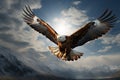 Above clouds, eagles flight undergoes a remarkable, transformative journey