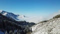 Above the clouds in the snowy mountains. Growing green spruce. Ate covered with snow. Royalty Free Stock Photo