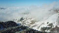 Above the clouds in the snowy mountains. Growing green spruce. Ate covered with snow. Royalty Free Stock Photo