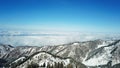 Above the clouds in the snowy mountains. Growing green spruce. Ate covered with snow. Royalty Free Stock Photo