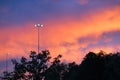 Pink sunset above dark trees with lonely lamp Royalty Free Stock Photo