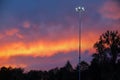 Pink sunset above dark trees with lonely lamp Royalty Free Stock Photo