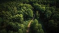 From above drone view of green lush forest with asphalt road in the middle. Generative AI Royalty Free Stock Photo