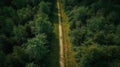 From above drone view of green lush forest with asphalt road in the middle. Generative AI Royalty Free Stock Photo