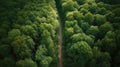 From above drone view of green lush forest with asphalt road in the middle. Generative AI Royalty Free Stock Photo