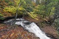 Above Ganoga Falls Royalty Free Stock Photo