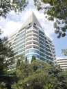 Above the green trees and palm trees against the blue cloudy sky towers a tall white building of a residential building Royalty Free Stock Photo