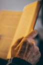 From above of hands of crop anonymous person holding open book and reading during daytime