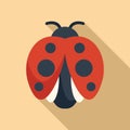 Above ladybug icon flat vector. Natural insect Royalty Free Stock Photo