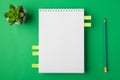 Above overhead close up view photo of clear notepad with copy space pencil and succulent plant isolated bright color desk