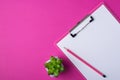 Above overhead close up view photo image of clipboard with clear paper for message notice wooden pencil and succulent plant Royalty Free Stock Photo