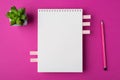 Above overhead close up view photo picture of spiral clear notebook with succulent plant and pencil isolated bright color pink Royalty Free Stock Photo