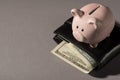 Above photo of moneybox pink pig black wallet with money dollars cash inside isolated on the grey background with copyspace Royalty Free Stock Photo