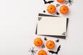 Above photo of white card with black frame and halloween decoration web spiders pumpkin and bats isolated on the white background