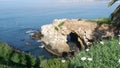 From above sea cave in La Jolla Cove. Lush foliage and sandstone grotto. Rock in pacific ocean lagoon, waves near steep cliff.