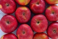 From above shot of tasty red apples flat lay. Gyration red ripe apples close-up. Royalty Free Stock Photo