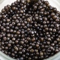 Above view of black sturgeon caviar in glass jar Royalty Free Stock Photo