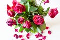 Above view of bouquet of withered red rose flowers Royalty Free Stock Photo