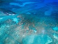 Aerial drone shot view of beach in Hanauma Bay Nature Reserve in Hawaii Royalty Free Stock Photo