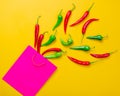 Above view at Chili pepper and shopping bag Royalty Free Stock Photo