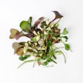 Above view at different microgreens at white background