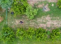 Above view of Farmer mowing with lawn mower Royalty Free Stock Photo