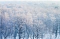 Above view on frozen woods in cold winter