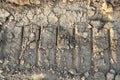 Dry swamp with mud and traces wheel.