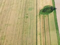 Above view of green and yellow harvested fields