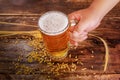 Above view of a hand holding a glass of light beer with foam, with a wheat branch and wheat on a wooden table background Royalty Free Stock Photo