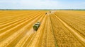 Above view on harvest season at agricultural plot, combine harvesting wheat, tractor drag trailers Royalty Free Stock Photo