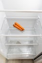 above view of home refrigerator with dried carrots Royalty Free Stock Photo