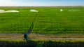 Aerial view on high pressure agricultural water sprinkler, sprayer, sending out jets of water to irrigate corn farm crops Royalty Free Stock Photo