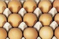 Above View Packaged Chicked Egg Rows Textures and Patterns Royalty Free Stock Photo