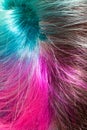 Above view of parting of multicolored dyed hairs